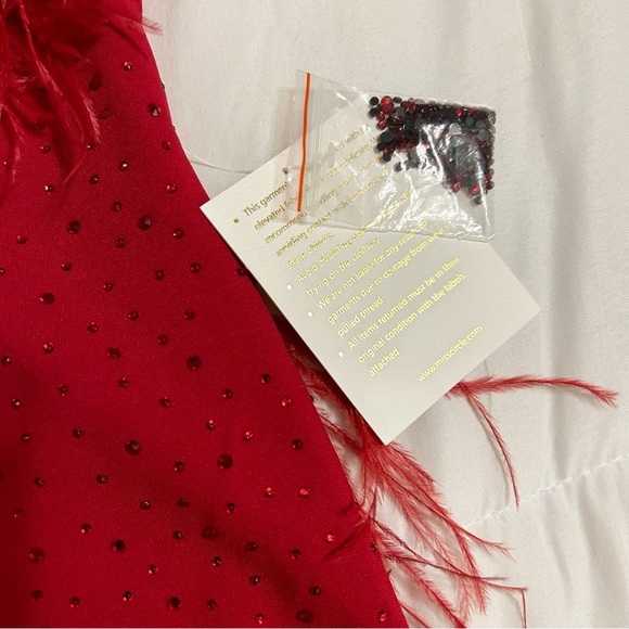 Miss Circle Red Mini Dress XL Crystals Feathers Stretch Holiday Party Dress - Picture 13 of 13